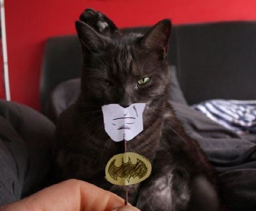 I Am Also Batman