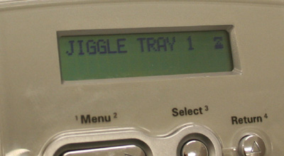 JIGGLE TRAY 1