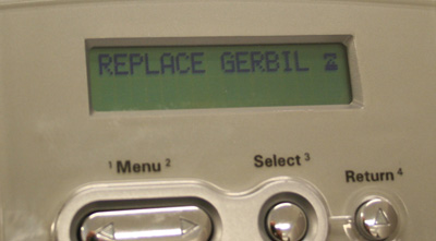 REPLACE GERBIL