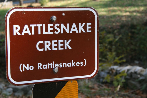 Rattlesnake Creek - photo by zoom in tight